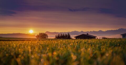 Chcete zit vic offline Vikendova chata jako cesta k digitalnimu detoxu2