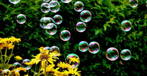 Zahrada jako misto pro dusevni zdravi jak venkovni prostredi ovlivnuje nasi psychiku