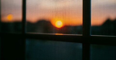 Ochrana proti hmyzu bez kompromisu To nabizi okenni a dverni site